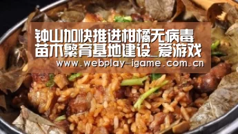 钟山加快推进柑橘无病毒苗木繁育基地建设_爱游戏app(图1) 爱游戏